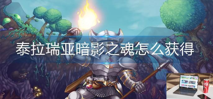 泰拉瑞亚暗影之魂怎么获得-第1张图片-零力游戏日记