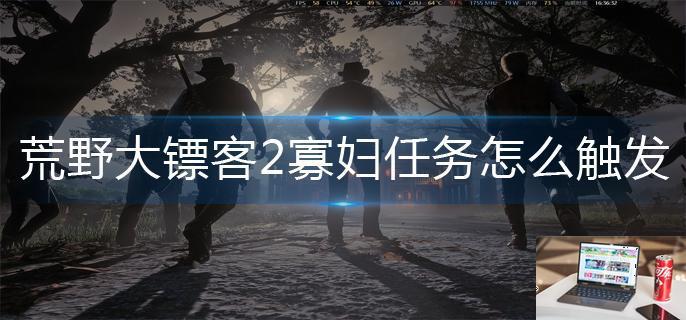 荒野大镖客2寡妇任务怎么触发-第1张图片-零力游戏日记