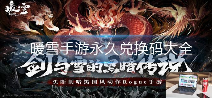 暖雪手游永久兑换码大全-第1张图片-零力游戏日记