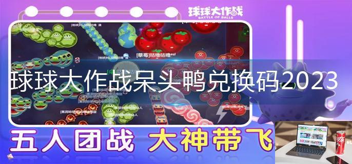 球球大作战呆头鸭兑换码2023-第1张图片-零力游戏日记