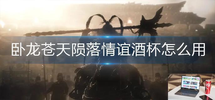卧龙苍天陨落情谊酒杯怎么用-第1张图片-零力游戏日记