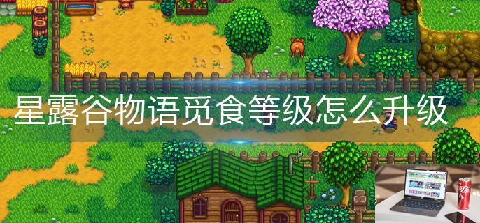 星露谷物语觅食等级怎么升级-第1张图片-零力游戏日记