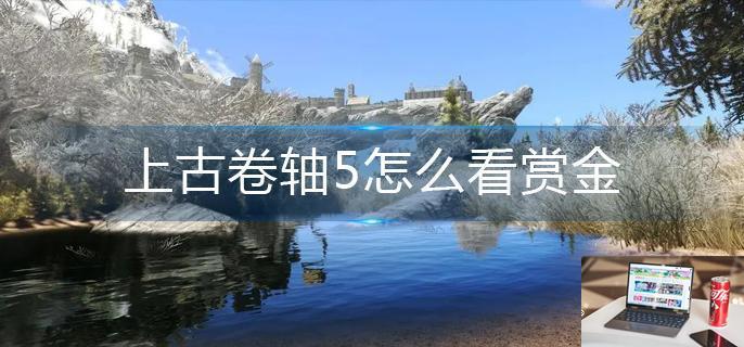 上古卷轴5怎么看赏金-第1张图片-零力游戏日记