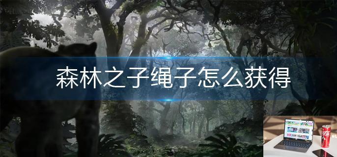 森林之子绳子怎么获得-第1张图片-零力游戏日记