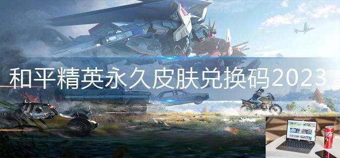 和平精英永久皮肤兑换码2023-第1张图片-零力游戏日记