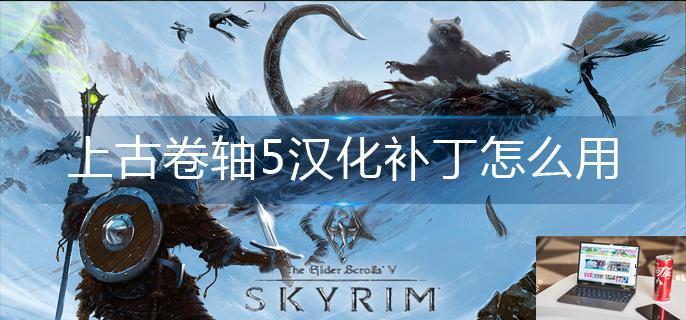上古卷轴5汉化补丁怎么用-第1张图片-零力游戏日记