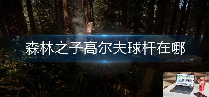森林之子高尔夫球杆在哪-第1张图片-零力游戏日记