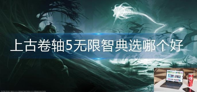 上古卷轴5无限智典选哪个好-第1张图片-零力游戏日记
