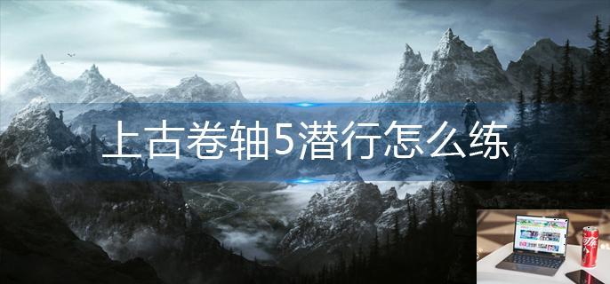 上古卷轴5潜行怎么练-第1张图片-零力游戏日记