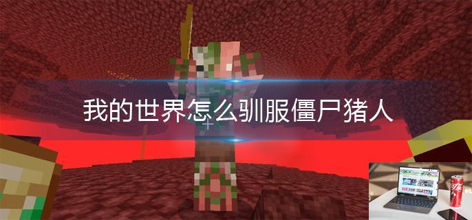我的世界怎么驯服僵尸猪人-第1张图片-零力游戏日记