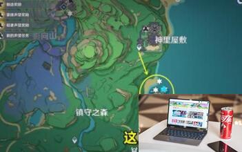 原神海灵芝在哪里采集-第3张图片-零力游戏日记