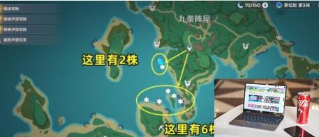 原神海灵芝在哪里采集-第6张图片-零力游戏日记
