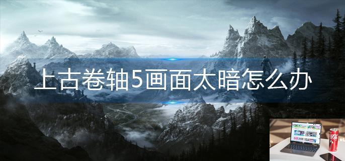 上古卷轴5画面太暗怎么办-第1张图片-零力游戏日记
