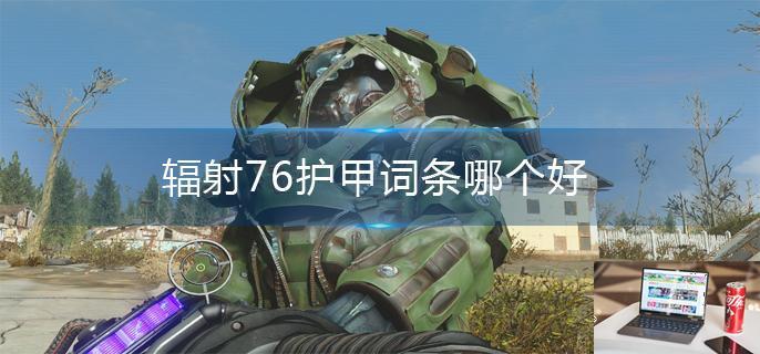 辐射76护甲词条哪个好-第1张图片-零力游戏日记