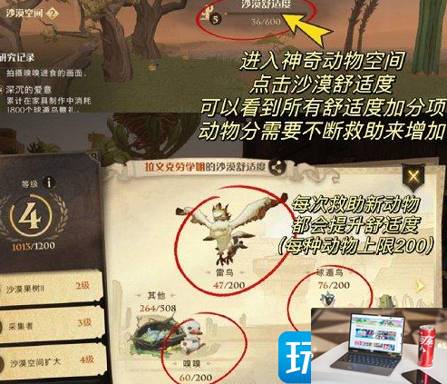 哈利波特魔法觉醒沙漠舒适度怎么增加-第2张图片-零力游戏日记