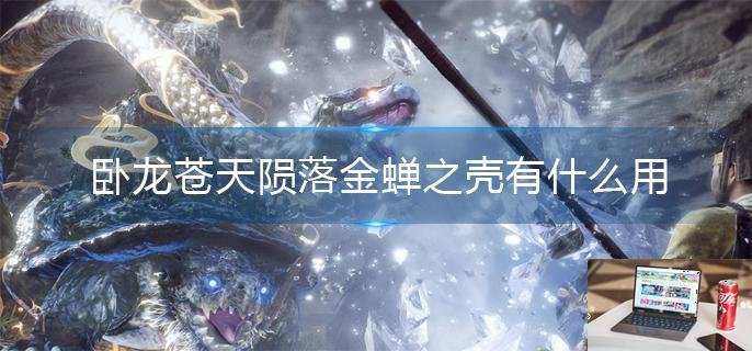 卧龙苍天陨落金蝉之壳有什么用-第1张图片-零力游戏日记
