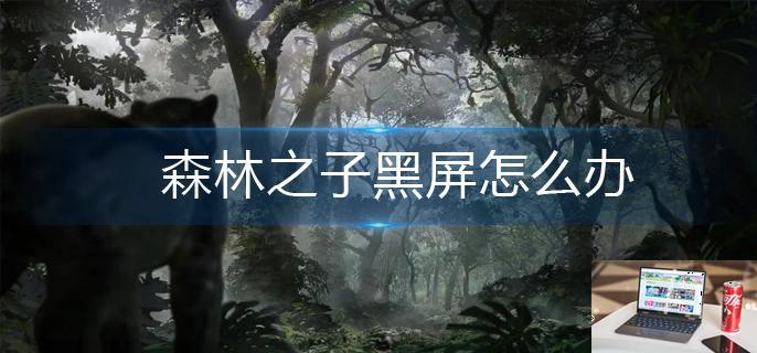 森林之子黑屏怎么办-第1张图片-零力游戏日记