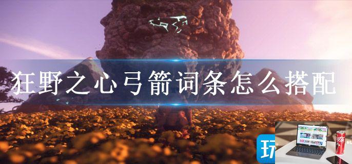 狂野之心弓箭词条怎么搭配-第1张图片-零力游戏日记