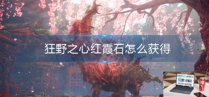 狂野之心红霞石怎么获得-第1张图片-零力游戏日记