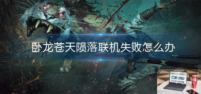 卧龙苍天陨落联机失败怎么办-第1张图片-零力游戏日记