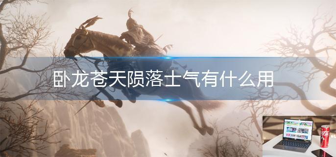 卧龙苍天陨落士气有什么用-第1张图片-零力游戏日记