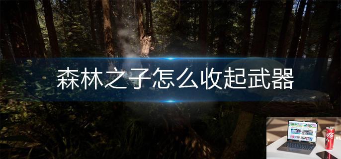 森林之子怎么收起武器-第1张图片-零力游戏日记