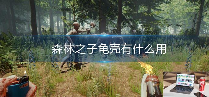 森林之子龟壳有什么用-第1张图片-零力游戏日记