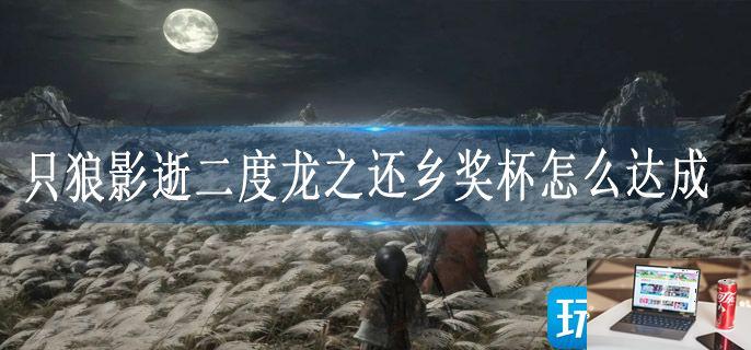 只狼影逝二度龙之还乡奖杯怎么达成-第1张图片-零力游戏日记