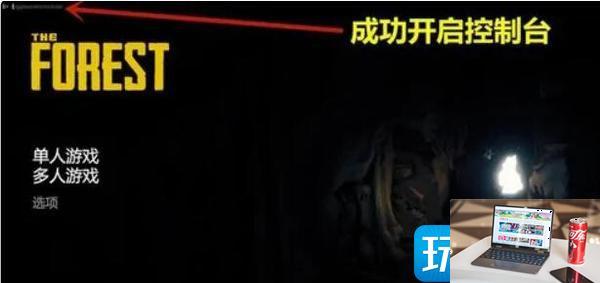 森林之子作弊码输入不了怎么回事-第1张图片-零力游戏日记
