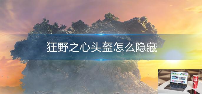 狂野之心头盔怎么隐藏-第1张图片-零力游戏日记
