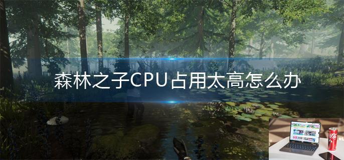 森林之子CPU占用太高怎么办-第1张图片-零力游戏日记