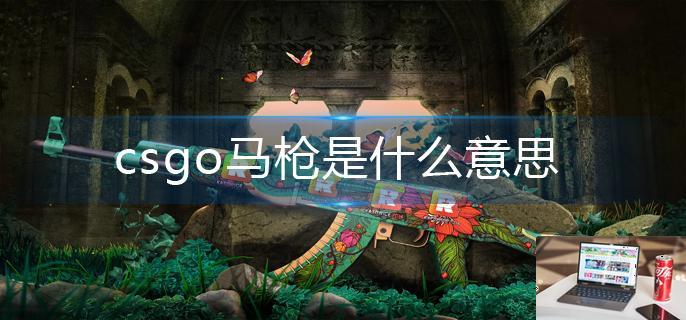 csgo马枪是什么意思-第1张图片-零力游戏日记