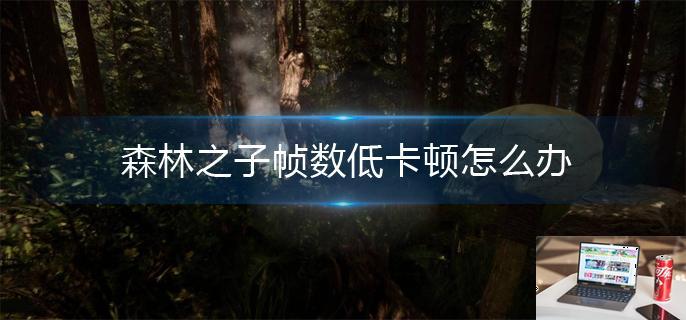 森林之子帧数低卡顿怎么办-第1张图片-零力游戏日记