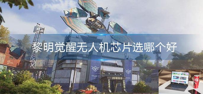 黎明觉醒无人机芯片选哪个好-第1张图片-零力游戏日记