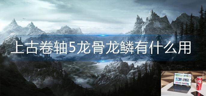 上古卷轴5龙骨龙鳞有什么用-第1张图片-零力游戏日记