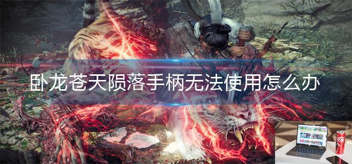 卧龙苍天陨落手柄无法使用怎么办-第1张图片-零力游戏日记