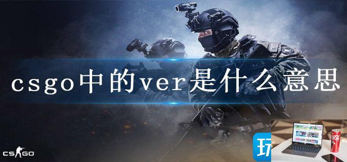 csgo中的ver是什么意思-第1张图片-零力游戏日记