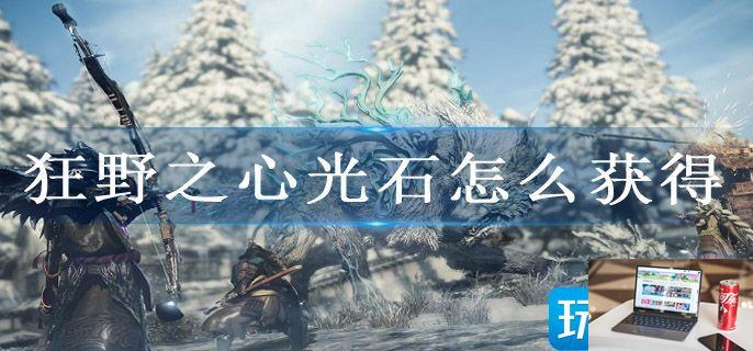 狂野之心光石怎么获得-第1张图片-零力游戏日记