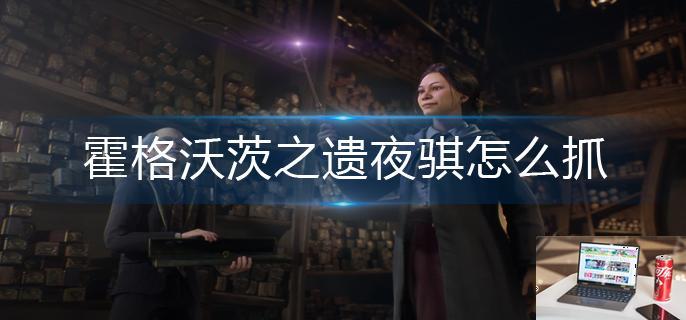 霍格沃茨之遗夜骐怎么抓-第1张图片-零力游戏日记