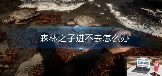 森林之子进不去怎么办-第1张图片-零力游戏日记