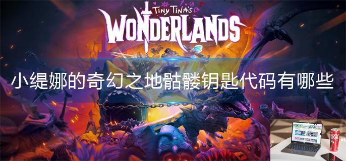 小缇娜的奇幻之地骷髅钥匙代码有哪些-第1张图片-零力游戏日记