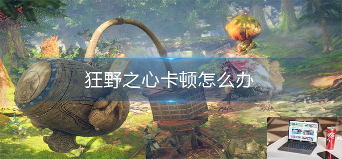 狂野之心卡顿怎么办-第1张图片-零力游戏日记