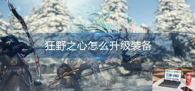 狂野之心怎么升级装备-第1张图片-零力游戏日记