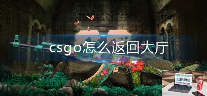 csgo怎么返回大厅-第1张图片-零力游戏日记