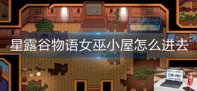 星露谷物语女巫小屋怎么进去-第1张图片-零力游戏日记