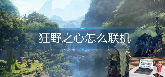 狂野之心怎么联机-第1张图片-零力游戏日记