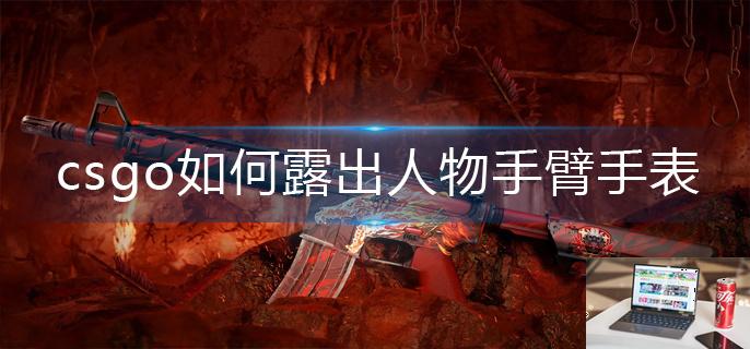 csgo如何露出人物手臂手表-第1张图片-零力游戏日记