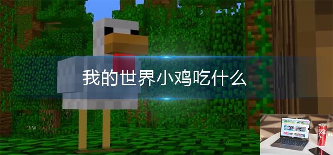 我的世界小鸡吃什么,我的世界小鸡吃食物介绍-第1张图片-零力游戏日记