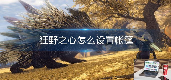 狂野之心怎么设置帐篷-第1张图片-零力游戏日记