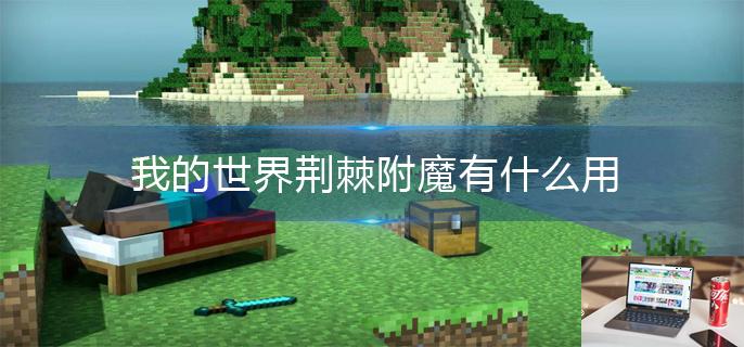 我的世界荆棘附魔有什么用-第1张图片-零力游戏日记